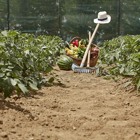 Paradise In Naxos 3* Pláka