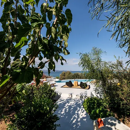 Hotel Paradise In Naxos Pláka