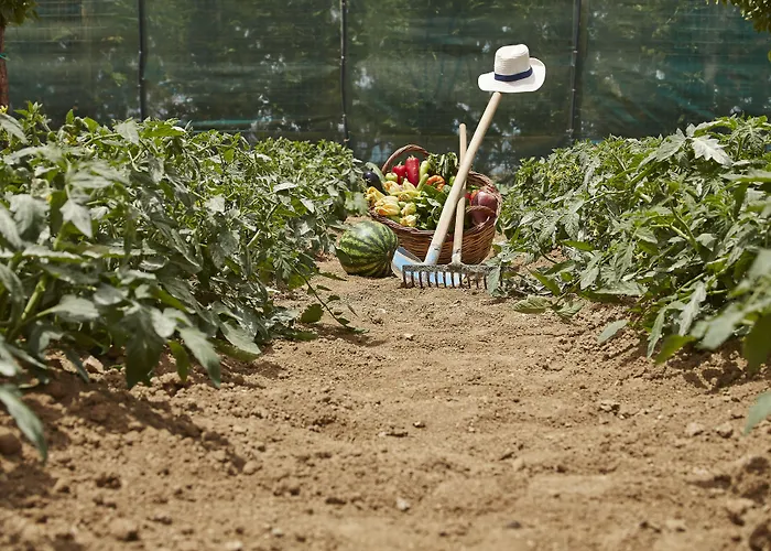 Paradise In Naxos 3* Pláka