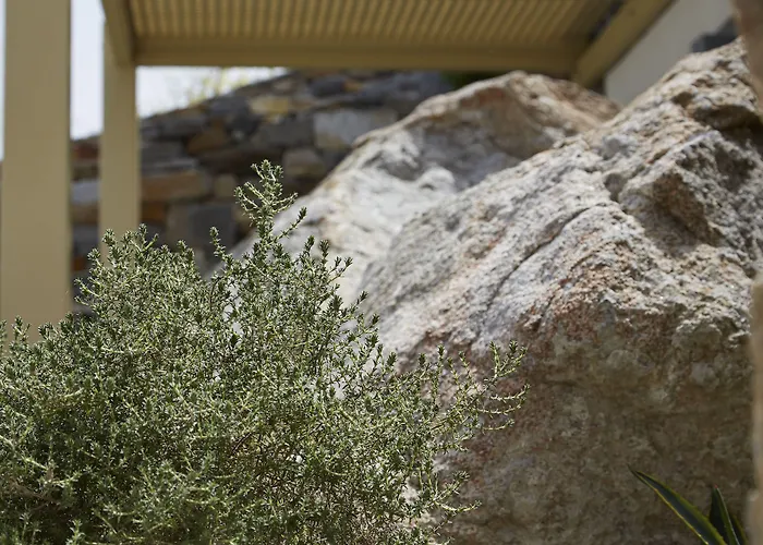 Paradise In Naxos Hotell