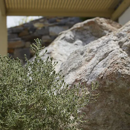 Paradise In Naxos Otel