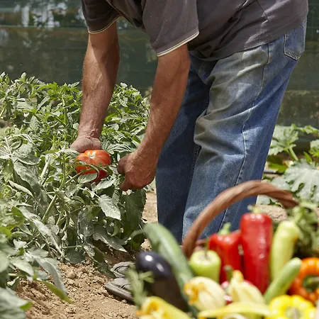 Otel Paradise In Naxos Pláka