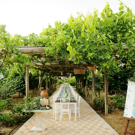 Paradise In Naxos 3*