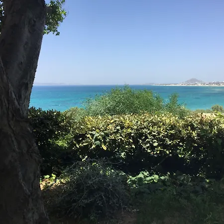 Paradise In Naxos
