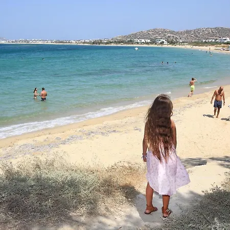 Paradise In Naxos 3*