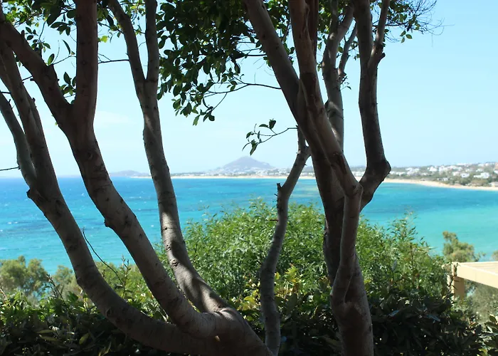 Paradise In Naxos Hotell 3*