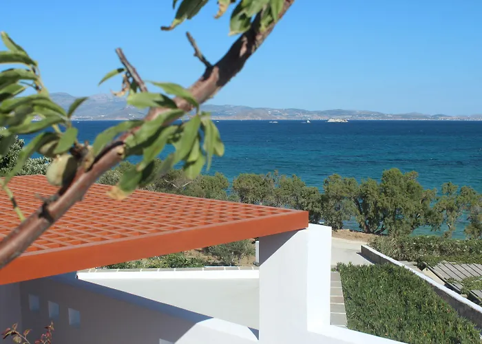 Hotel Paradise In Naxos 3*