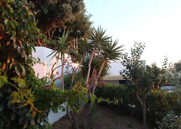 Paradise In Naxos 3*