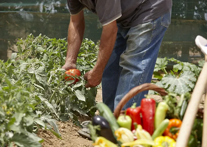 Hotell Paradise In Naxos Pláka