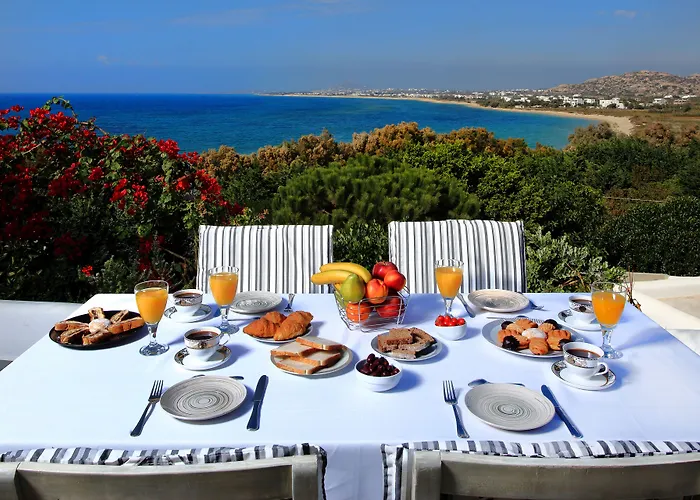 Paradise In Naxos